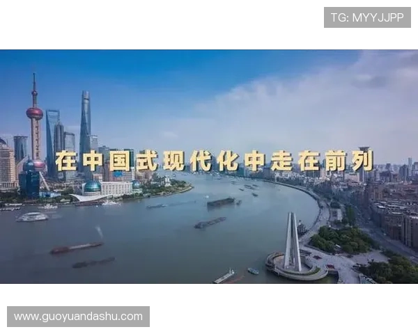 上海滑板队状态对比深度解析与未来发展展望