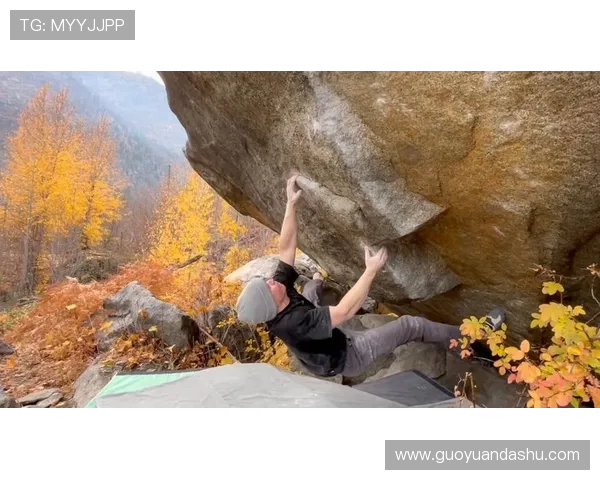 与陈秀英畅谈攀岩人生的挑战与成就之路