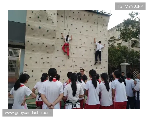 攀岩精神之旅：深入成都攀岩队员的心理素质与挑战解析