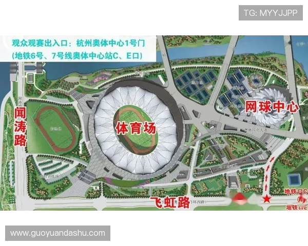 杭州网球队的团队协作与战术配合深度分析与探讨